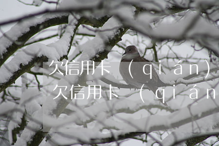 欠信用卡錢(qián)律師打電話怎么辦，欠信用卡錢(qián)，律師打電話催收？教你如何應(yīng)對(duì)